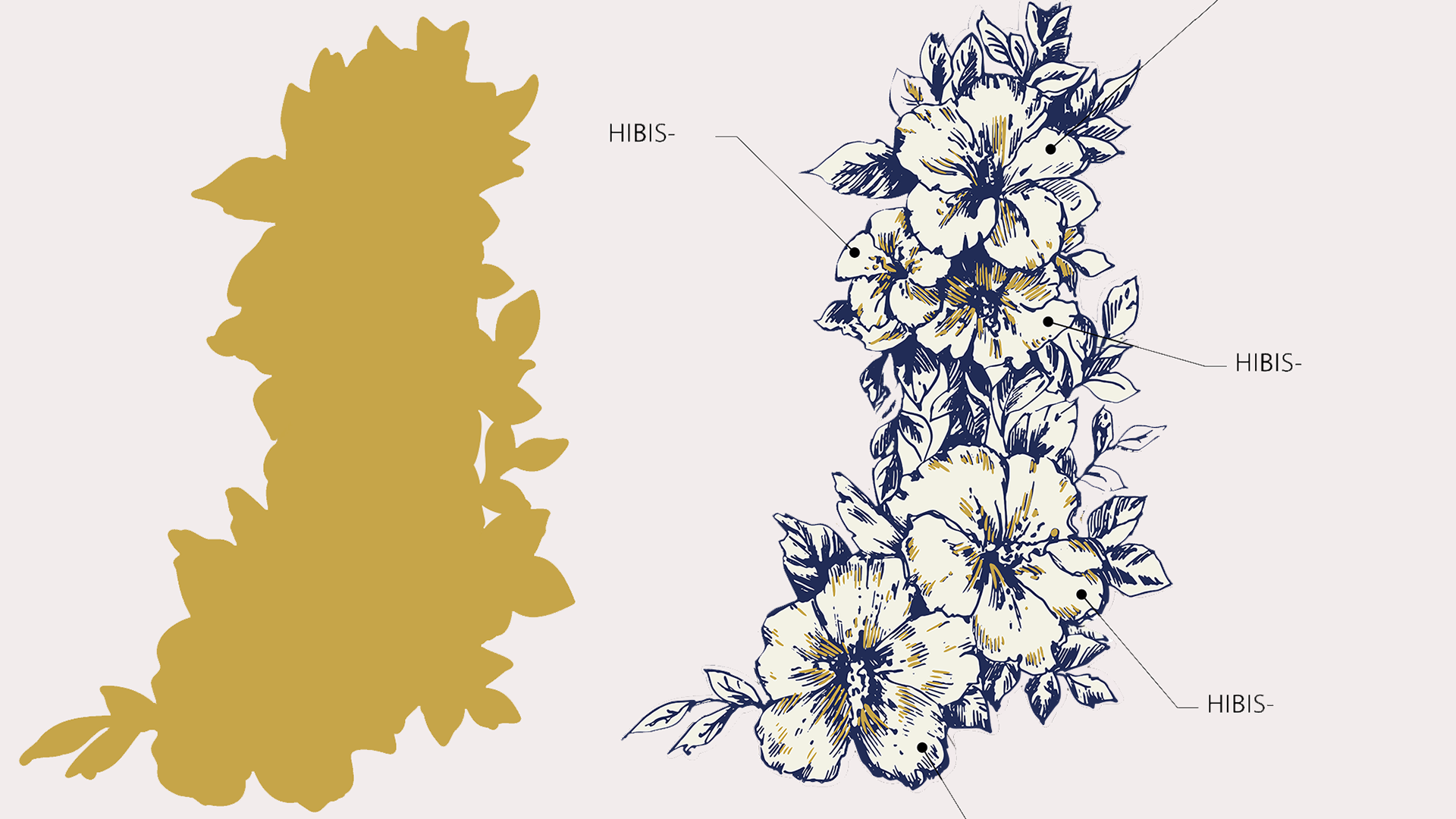 Graphic design per Dior Harrods - Axielab